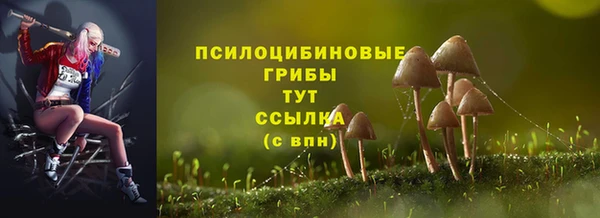 спиды Нефтегорск