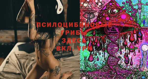 спиды Нефтегорск