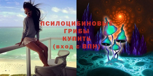 шишки Навашино