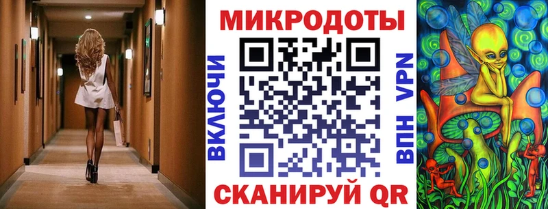 сколько стоит  Ипатово  Псилоцибиновые грибы Psilocybe 