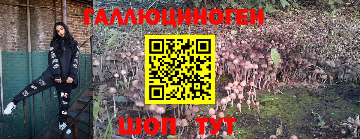 Ипатово  Галлюциногенные грибы Psilocybe  наркота  Вход с VPN 